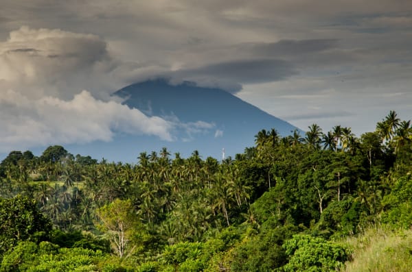 Klimawandel lässt Kaffee knapp werden