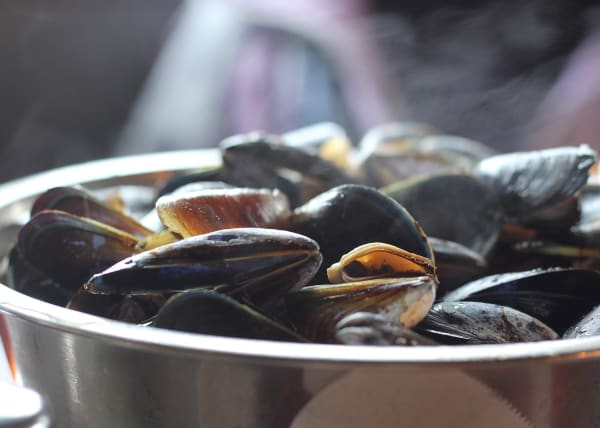 Austern und Miesmuscheln bei Stichproben betroffen