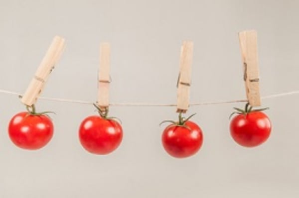 Pflanzenschutzmittelrückstände in Tomaten