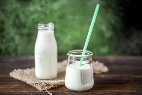 Alternativen zu Milch aus Hafer, Soja oder Mandeln