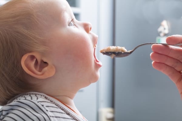 Kindernahrung auf Haferbasis untersucht