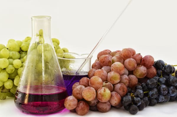 Trauben - das neue Superfood?