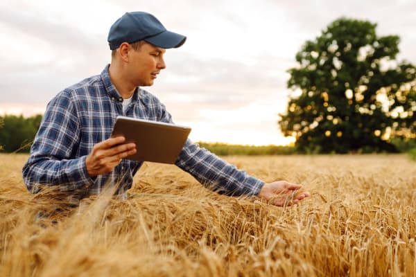 Allergieauslösende Proteine in Gerste gemessen