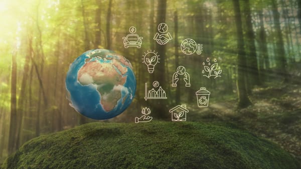 JRC: Kriterien für eine nachhaltige Lebensmittelbeschaffung