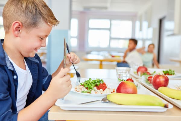 Studie zur Resilienz von Kita- und Schulverpflegung