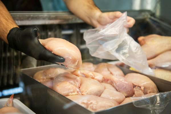 Geflügel untersucht