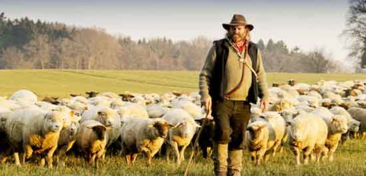 Lebensweisheit von der Freiheit der Entscheidung