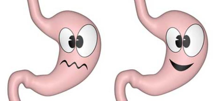 Lebensweisheit in der Geschichte vom Aufstand der Organe
