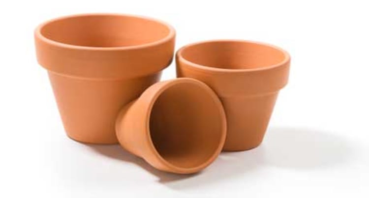 Weisheit: Das Wichtige vom Unwichtigen unterscheiden