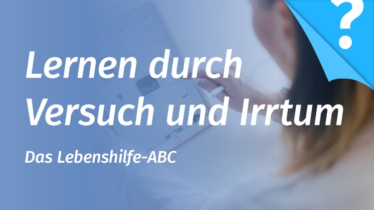 Lernen durch Versuch und Irrtum