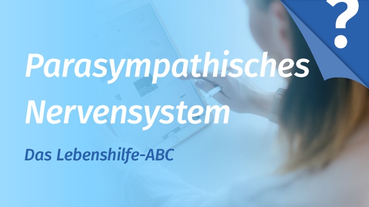 Parasympathisches Nervensystem