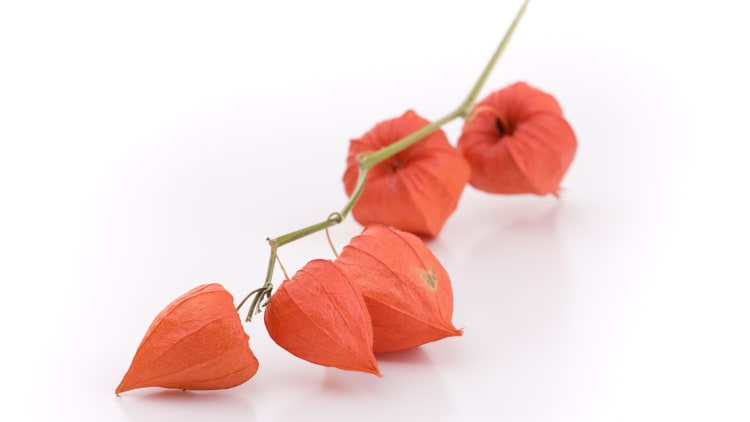 Psychotherapie: Angst vor dem Therapieende?