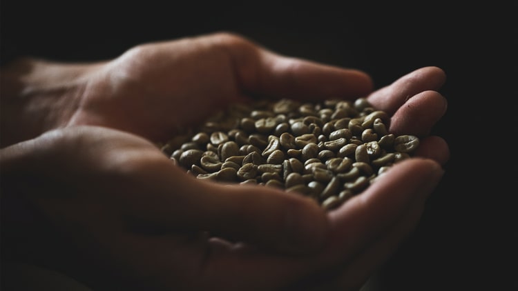 Lebensweisheit zum Umgang mit Problemen