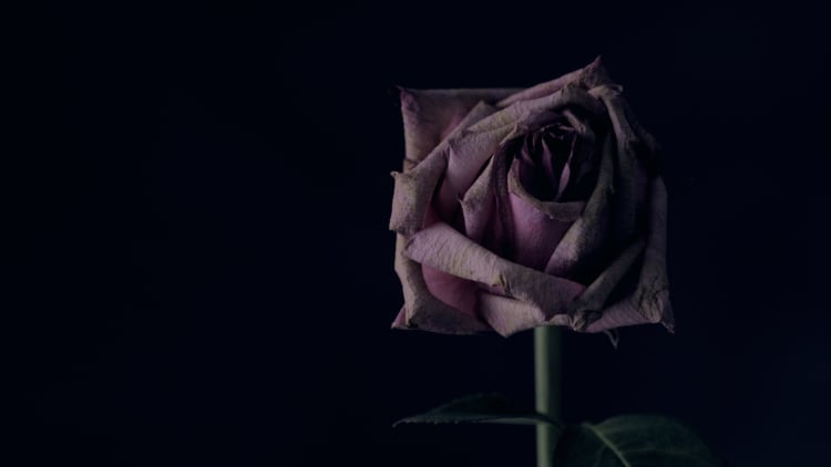 Liebeskummer (Broken Heart Syndrom)