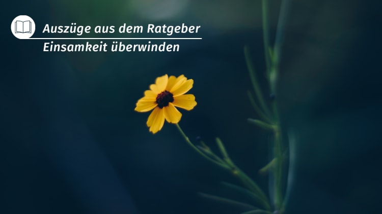 Ratgeber Einsamkeit überwinden