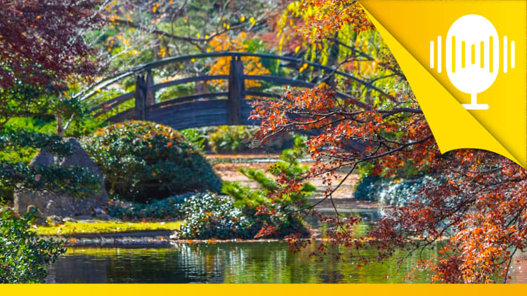 Deine Werte, dein Leben – Podcast #55