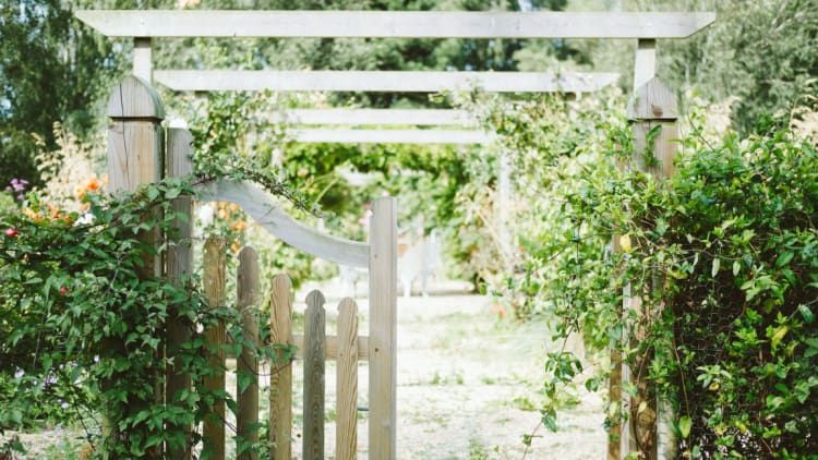 Gärtnern: Finde inneren Frieden in deinem Garten