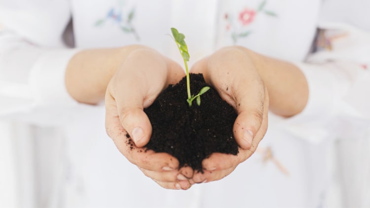 Der Klimakrise im Alltag begegnen
