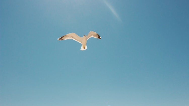 Um innere Freiheit zu erlangen, überschreite die Grenzen in deinem Kopf