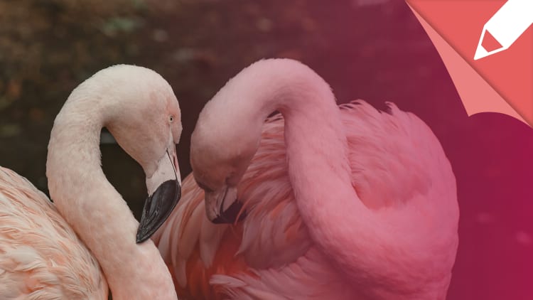 Psychotest Partnerschaft: Wie gut ist unsere Partnerschaft?