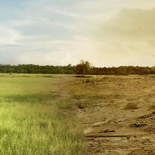 image Beiträge und Publikationen zum Thema Klimawandel