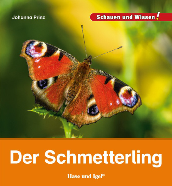 Der Schmetterling Buch Hase und Igel Verlag