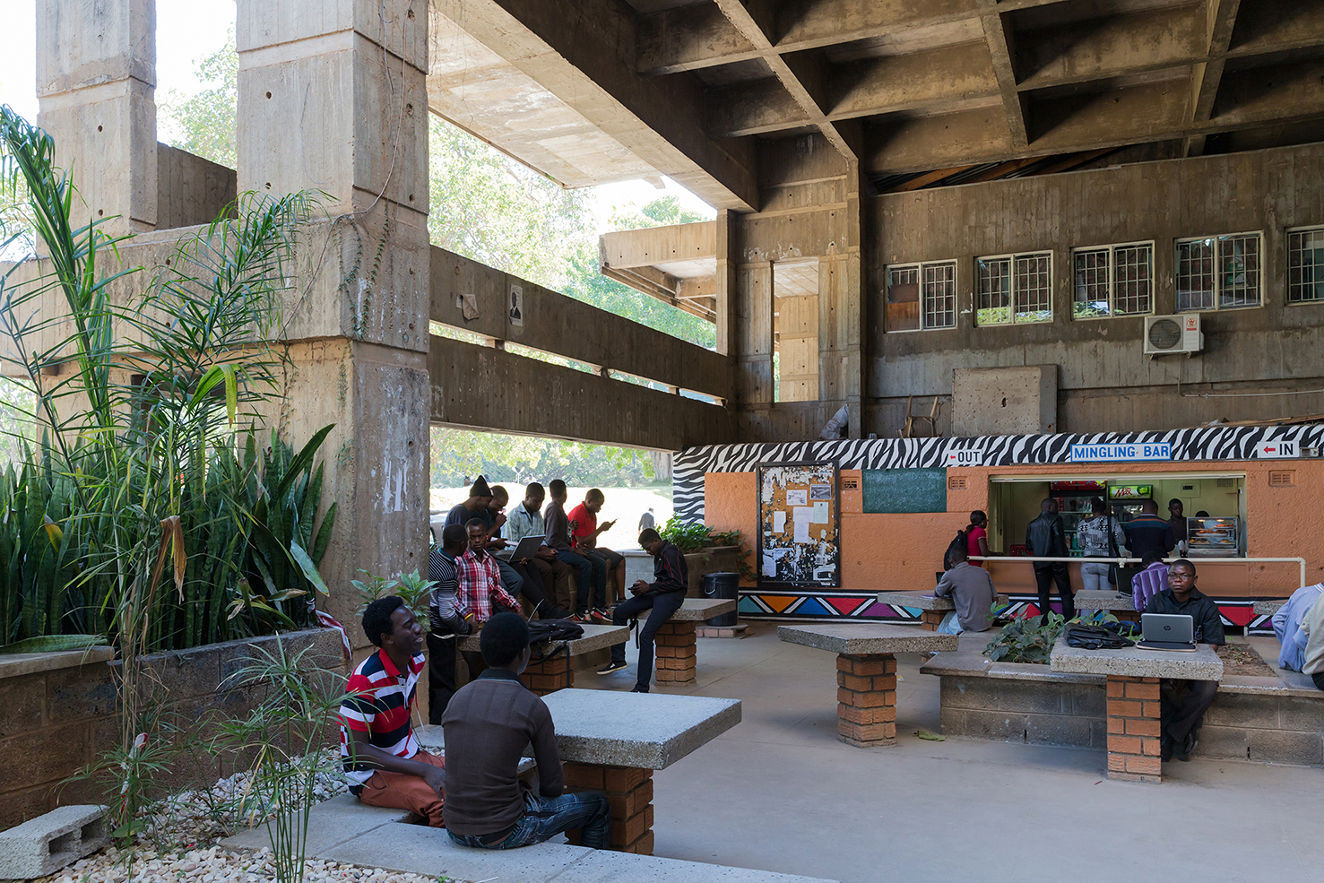 【クーポン対象外】 African Books Park | Modernism アート・デザイン・音楽