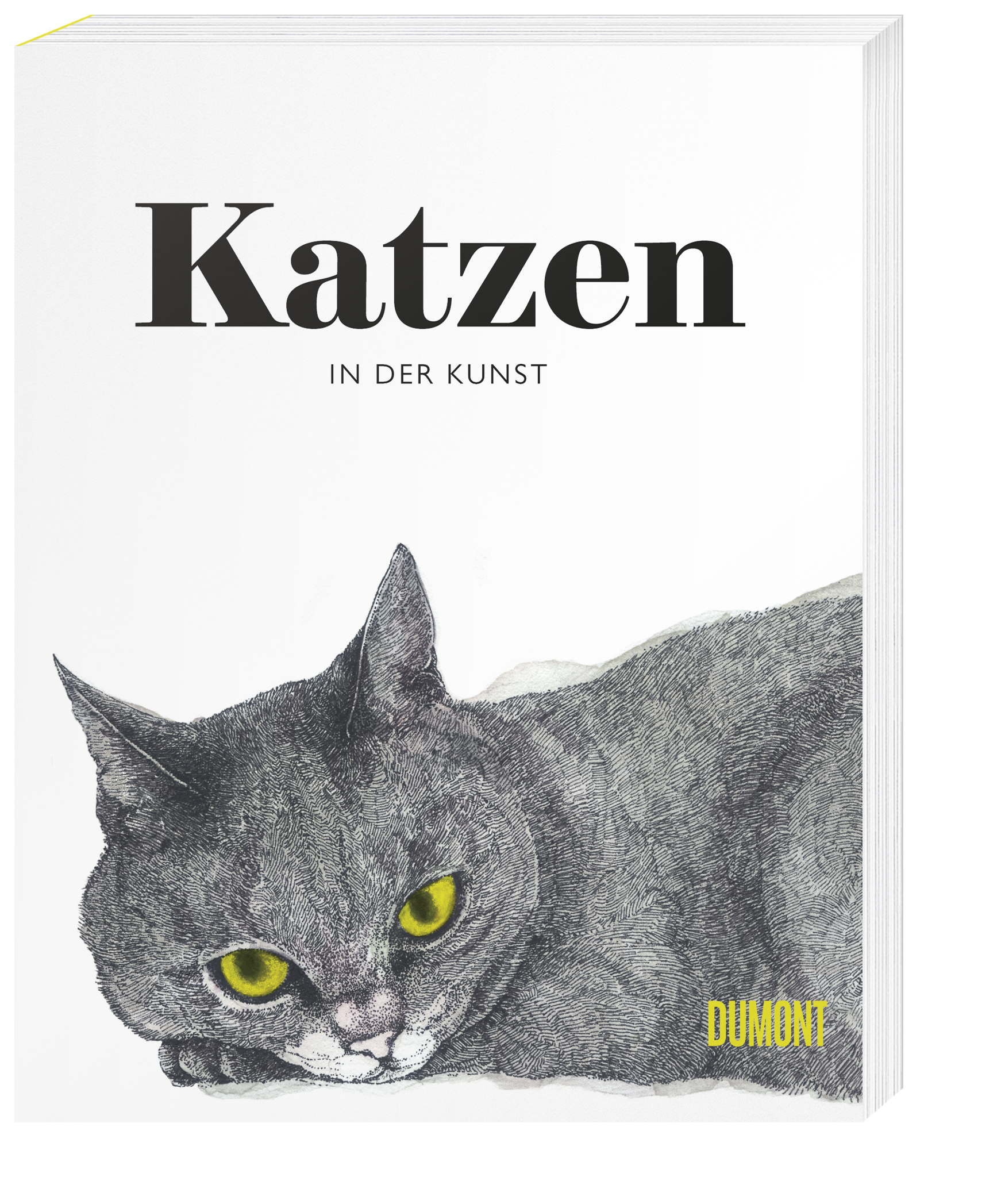 Katzen in der Kunst von Angus Hyland,Caroline Roberts | Taschenbuch |  DuMont Buchverlag