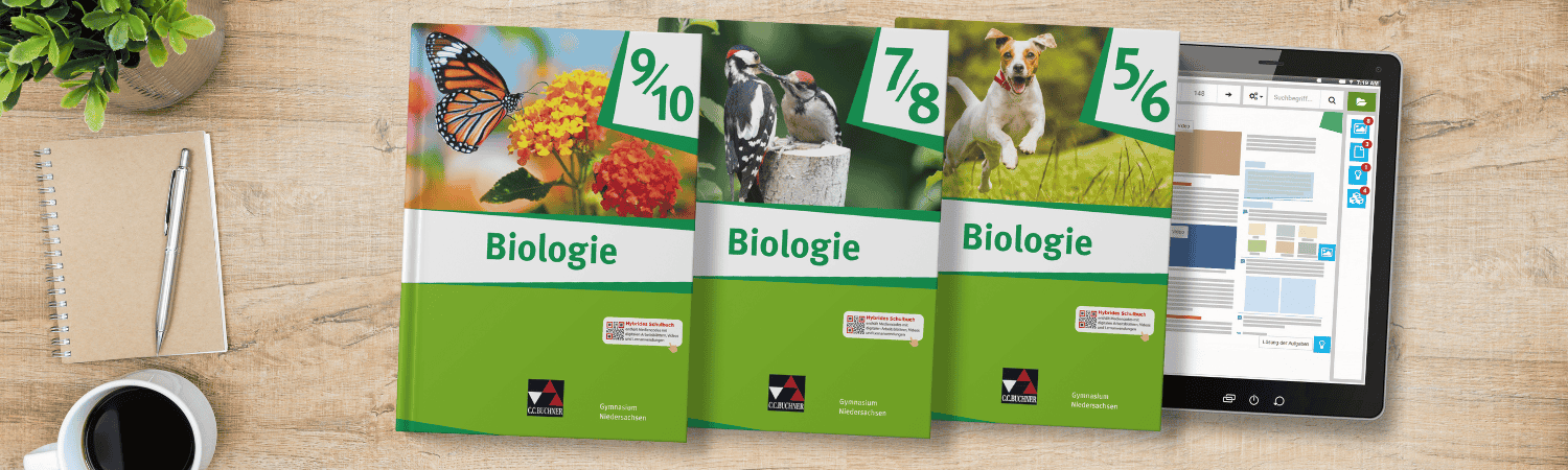 Biologie für das Gymnasien in Niedersachsen | © canva.com/satapatms
