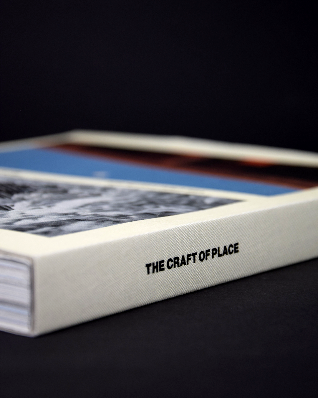 洋書 The Best German Book Design 2007 Best German Book Design 2025