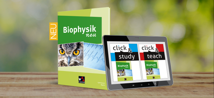 Physik – Bayern Oberstufe | @canva