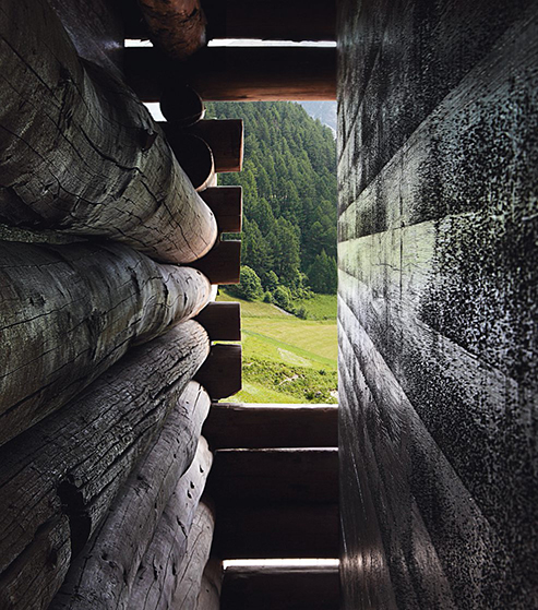 洋書 Close-up: Ruch & Partners Architects Close-Up | Ruch & Partners Architects 1994-2018 | 9783858817976