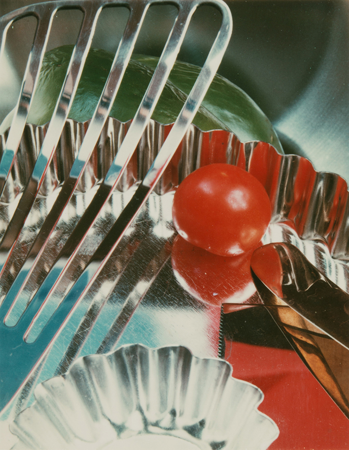 Jan Groover, Photographer | Park Books