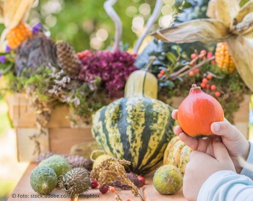 5 Angebote und Ideen zu Erntedank im Kindergarten | Blog | Don Bosco Verlag