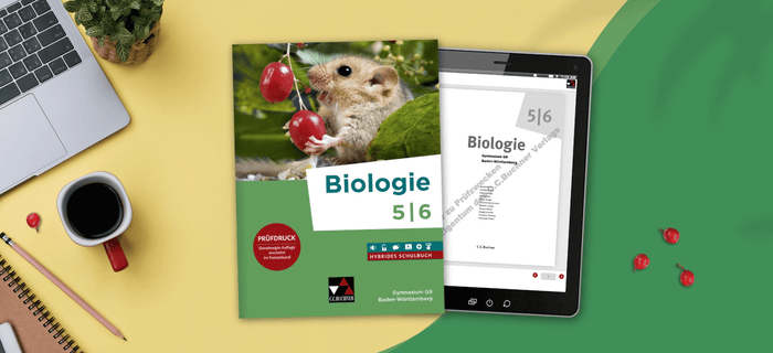 Prüfdruck 5/6 Biologie – Baden-Württemberg G9 | © canva.com/lovelyday12
