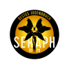SERAPH – Bestes Jugendbuch