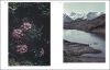 Dokumentierte Landschaft