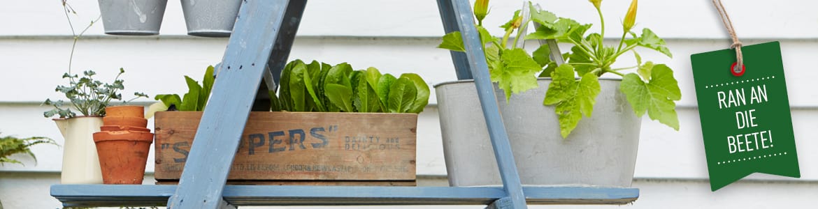 DK Verlag - Haus & Garten DK Verlag - Haus & Garten