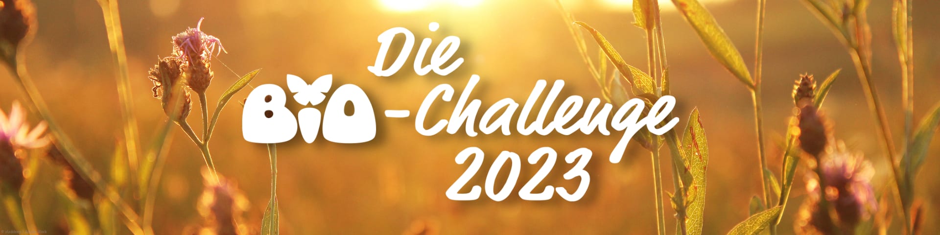 Logo »Die BIO-Challenge« auf einer blühenden Wiese