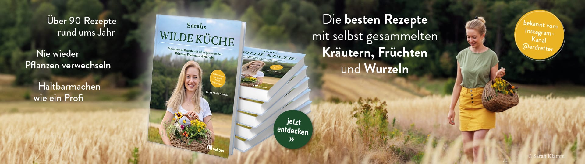 Banner zum Buch 