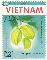 Coverbild Vietnam von Jean-Philippe Mido, Youssouf Hando, 9783831023325