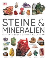 Coverbild Steine & Mineralien von Stephan Matthiesen, Ronald L. Bonewitz, Karin Koch, 9783831048069