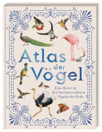 Coverbild Atlas der Vögel von Barbara Taylor, Richard Orr, Eva Sixt, 9783831042579