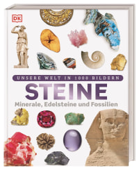 Coverbild Unsere Welt in 1000 Bildern. Steine von Dan Green, Gerd Hintermaier-Erhard, 9783831032136