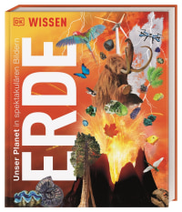 Coverbild DK Wissen. Erde von Birgit Reit, 9783831046652