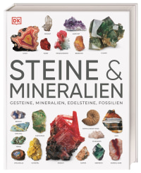 Coverbild Steine & Mineralien von Ronald L. Bonewitz, Karin Koch, Stephan Matthiesen, 9783831048069