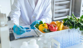 Mikrobiologische Untersuchung von Lebensmitteln