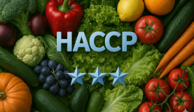 HACCP für Fortgeschrittene - intensiv