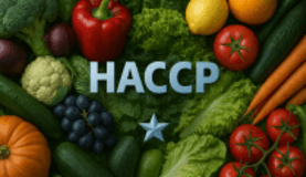 HACCP für Einsteiger - die Serie