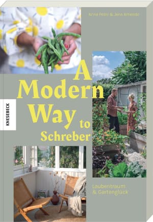 Cover von A Modern Way to Schreber